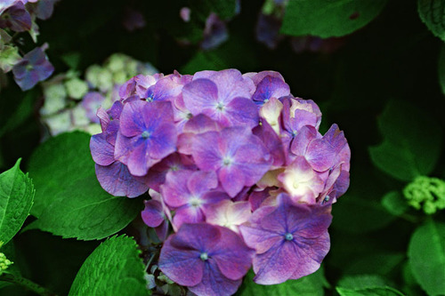 1504__7A.jpg