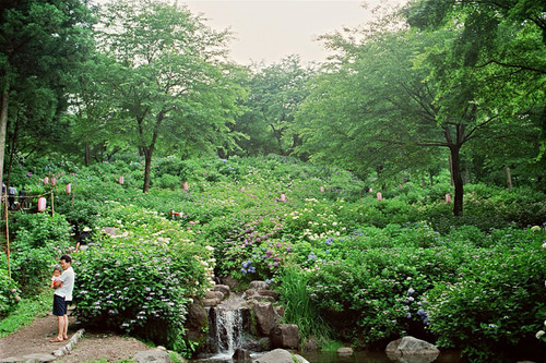 1529__9A.jpg